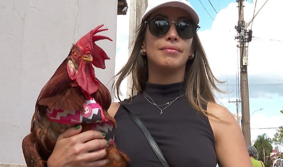 O galo Zeca passeia com a tutora Bianca Pereira nas ruas de São Carlos — Foto: Reprodução EPTV