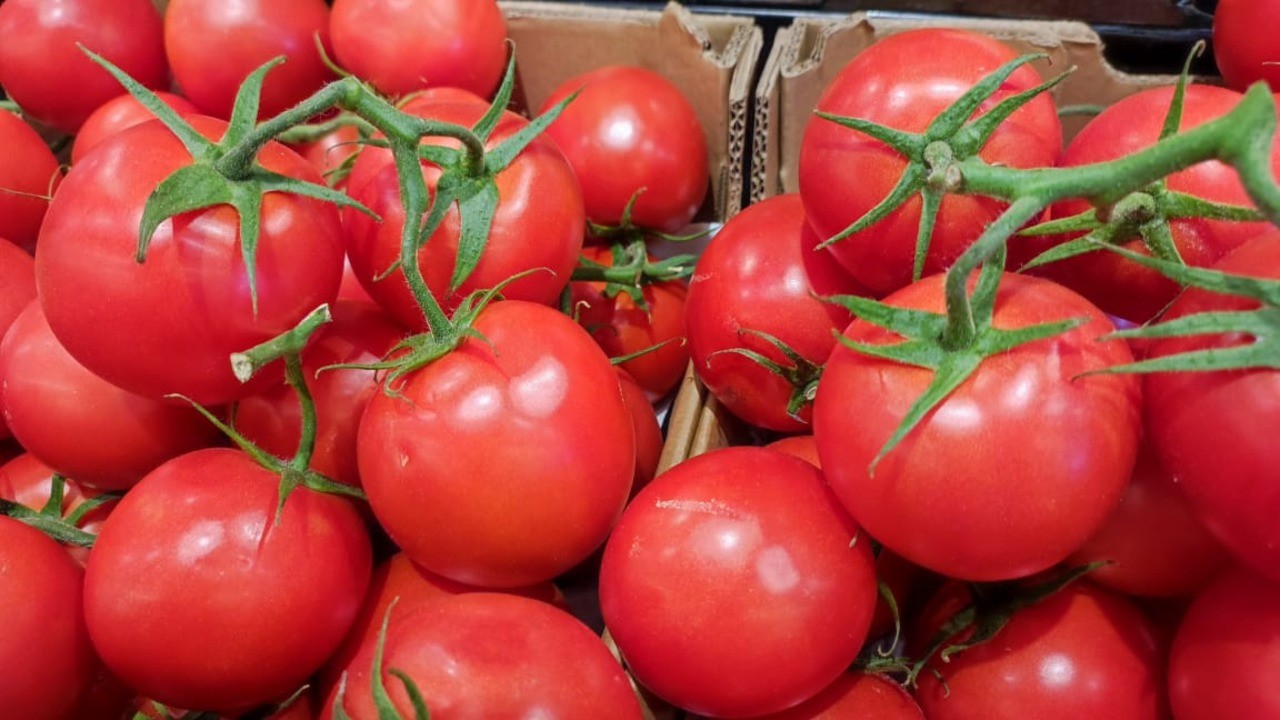 Importância do interior de SP no desenvolvimento da indústria do tomate é lembrada em livro de especialista da USP