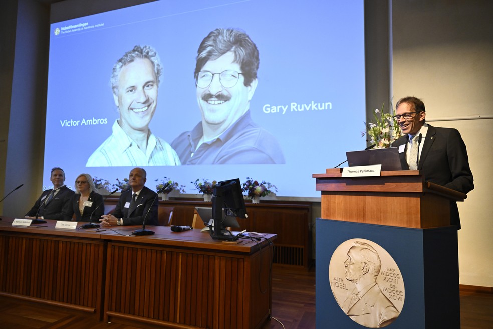 O presidente do Comitê Nobel, Thomas Perlmann, anuncia os americanos Victor Ambros e Gary Ruvkun, que aparecem na tela, como vencedores do Prêmio Nobel de Fisiologia ou Medicina 2024, durante uma coletiva de imprensa no Instituto Karolinska, em Estocolmo, Suécia, em 7 de outubro de 2024. — Foto: Christine Olsson/TT News Agency via AP