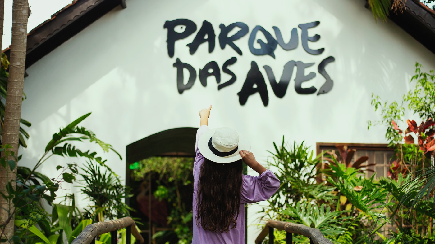 Colônia de Férias: 5 tardes na Mata Atlântica no Parque das Aves