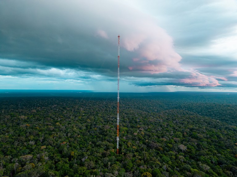Poeira do Saara viaja mais de 5 mil quilômetros e chega à Amazônia; cientistas estudam impacto na floresta