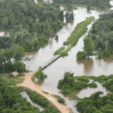 VÍDEO: PF explode ponte usada por invasores da Terra Indígena Apyterewa, no Pará