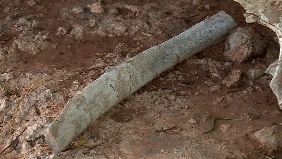 F&oacute;ssil atribu&iacute;do a dinossauro encontrado BR-050 rodovia Chico Xavier Uberaba &mdash; Foto: TV Integra&ccedil;&atilde;o/Reprodu&ccedil;&atilde;o