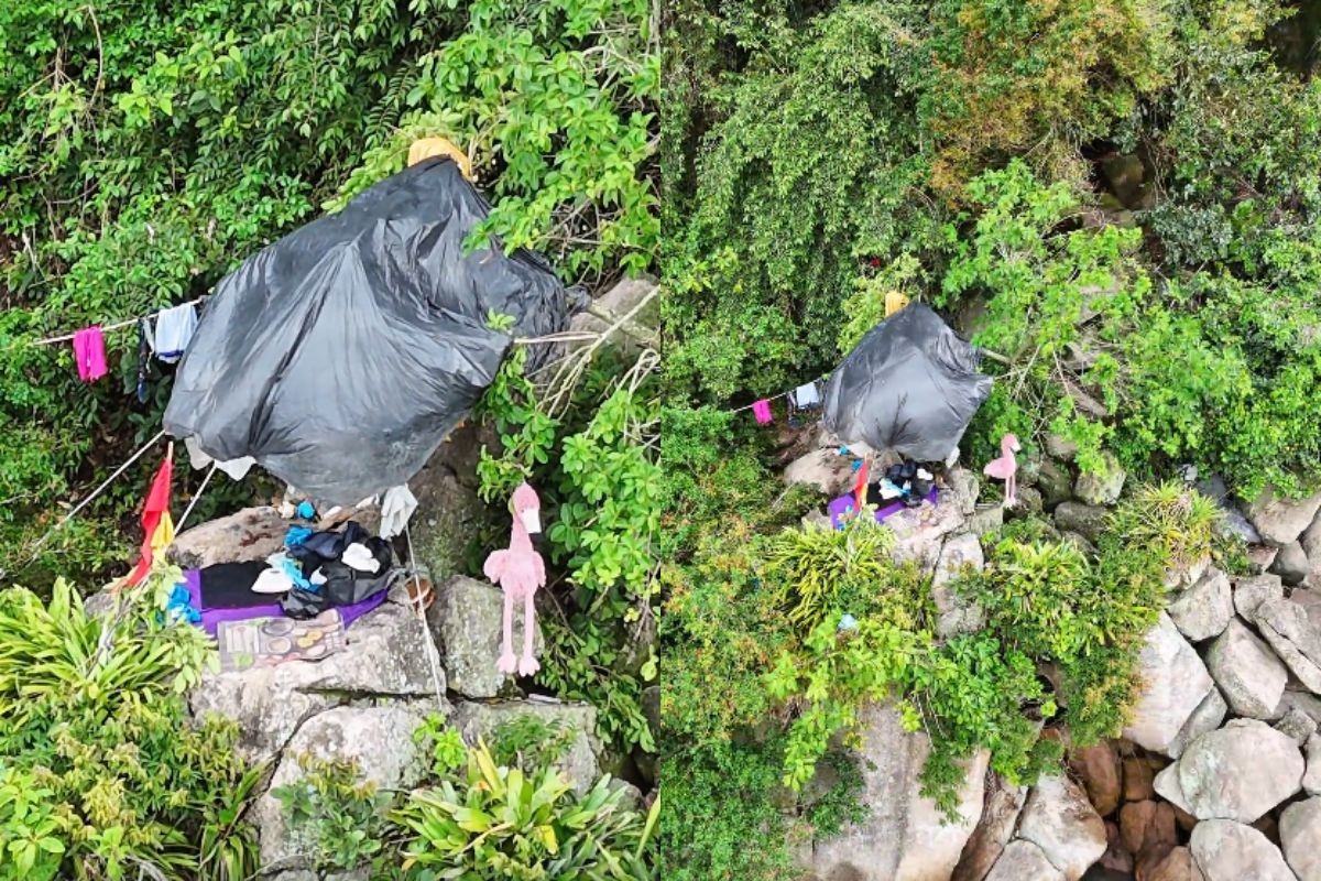 Invasão em ilha protegida no litoral de SP termina com acampamento ilegal desmontado em operação