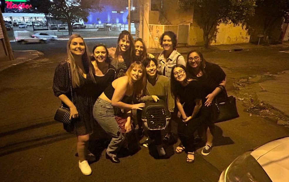 Grupo de Bauru (SP) administra perfil com quase 15 mil seguidores que já ajudou a encaminhar cerca de 4 mil gatos para adoção responsável — Foto: Arquivo pessoal