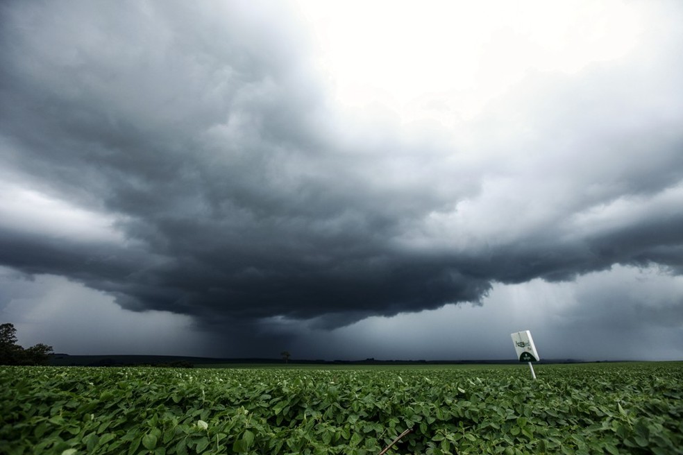 Plataforma AproClima, desenvolvida pela Aprosoja, gerencia riscos e oferece suporte aos produtores por meio de informações sobre o clima e planejamento agrícola — Foto: André Rodrigues