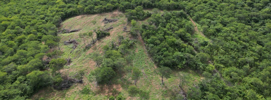 Operação contra o desmatamento ilegal aplica mais de R$ 700 mil em multas no Norte de Minas