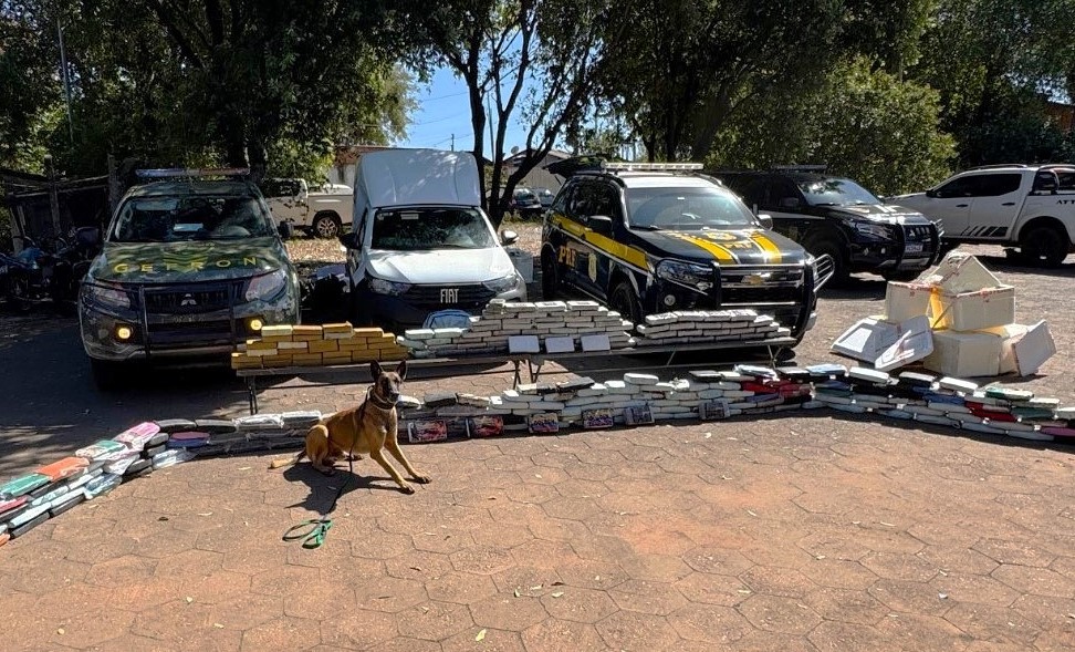 Cão farejador encontra mais de 270 kg de drogas escondidos em caminhão e motorista é preso em flagrante em MT