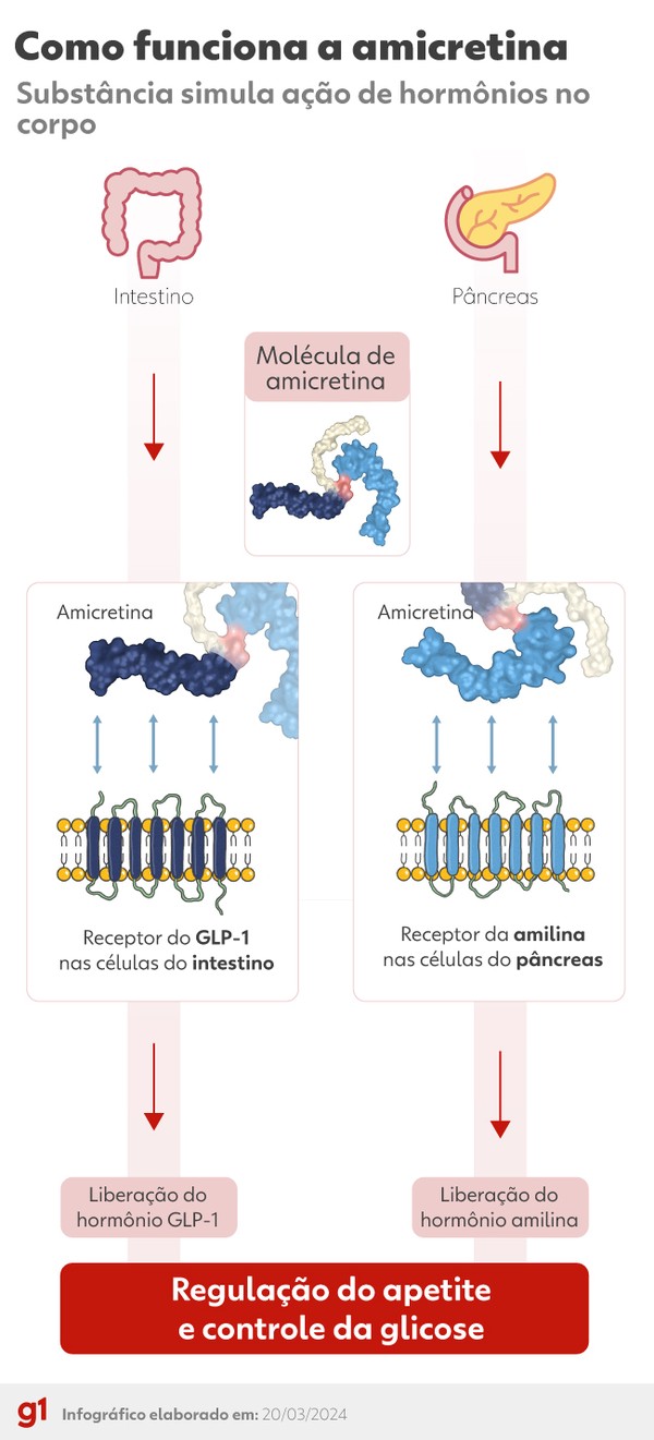 glp-1 production naturally The foundation of natural GLP-1 production is healthy gut lining. Healthy  gut lining is a foundation for many processes. The foundation of a healthy  gut is Vitamin C. #vitaminc #guthealthmatters #glp1