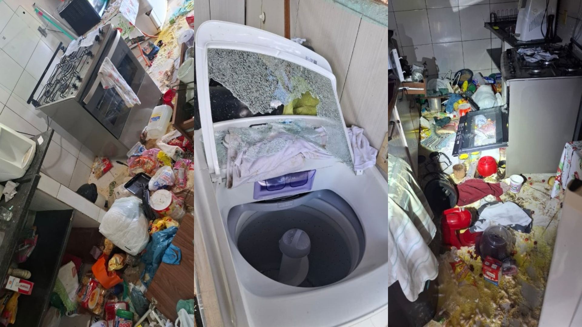 Homem é preso após invadir casa da ex, destruir imóvel e deixar animais mortos no ES