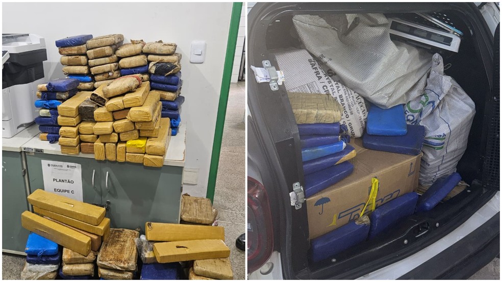 Polícia encontrou mais de 144 kg de maconha com homem de 23 anos, em Fortaleza (CE) — Foto: Divulgação/Polícia Militar