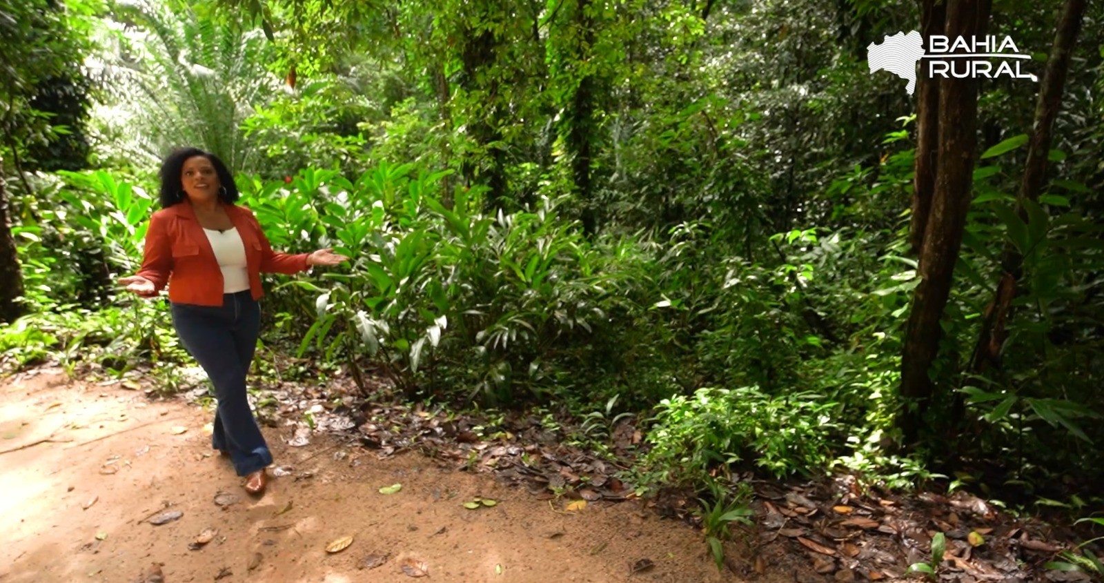 Vídeos do g1 e TV Bahia - domingo, 20 de julho de 2025