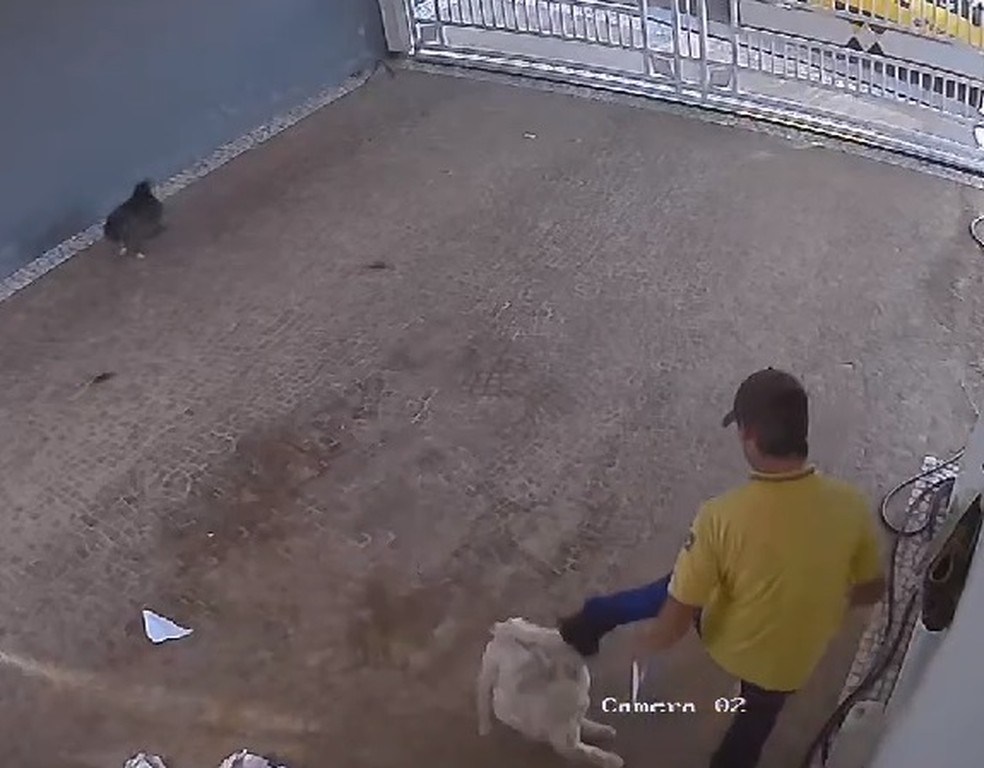 Câmeras de monitoramento da casa flagraram momento em que carteiro chuta cachorro em Marília (SP) — Foto: Câmeras de Segurança/Reprodução