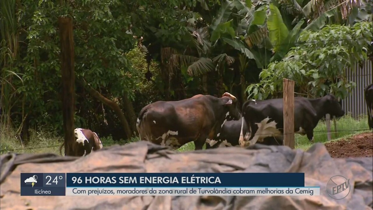 Sem energia elétrica por quatro dias, produtores rurais de Turvolândia ...