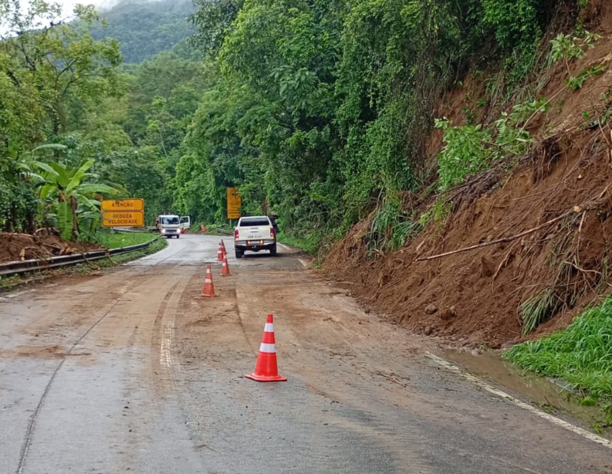Árvore cai e interdita a pista de descida da Serra das Araras, em Piraí