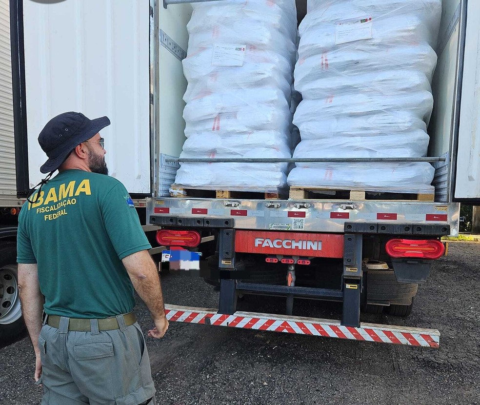 Mais de 10 mil quilos de pirarucu sem licença seriam transportados para o Peru, país que faz fronteira com Assis Brasil, no AC — Foto: Asscom/Ibama