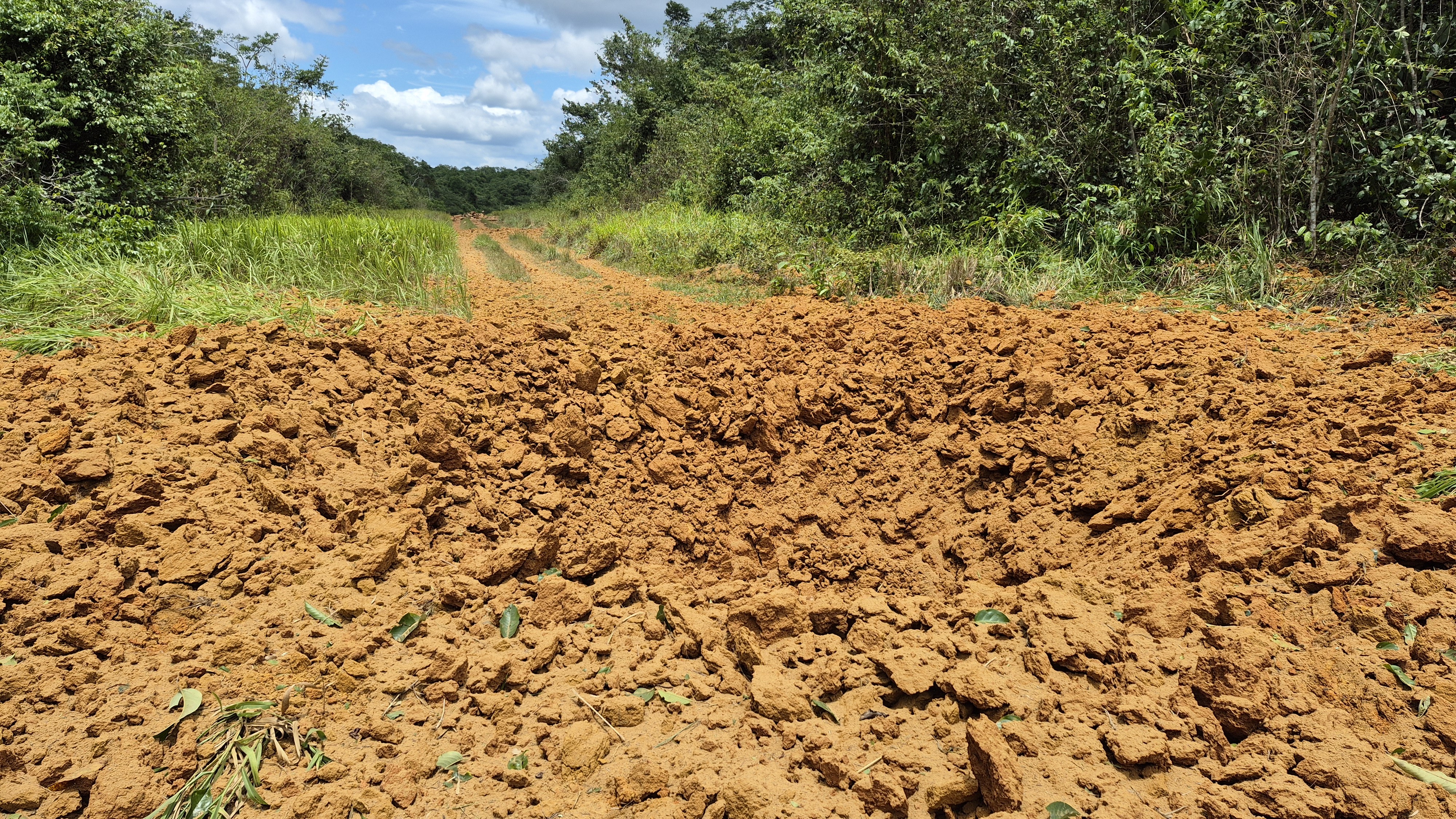 Operação contra garimpos na Terra Yanomami destrói 80 pistas e mapeia rotas para Venezuela