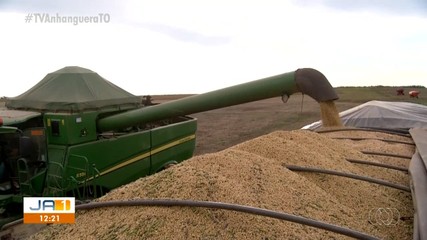 Exportação de grãos do Tocantins é afetada por causa do clima; saiba mais