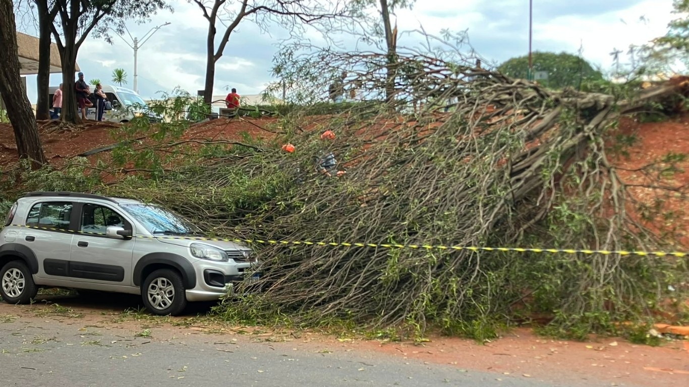 Galho cai e atinge dois carros durante chuva em Campinas; outras cidades registram estragos