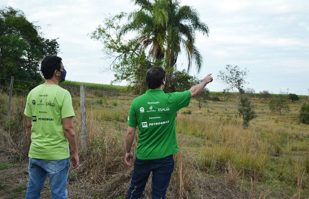 Girlei Costa da Cunha e Henrique Campos durante atividade de reconhecimento de campo para projeto de reflorestamento Corredor Caipira na região de Piracicaba — Foto: Rafael Bitencourt