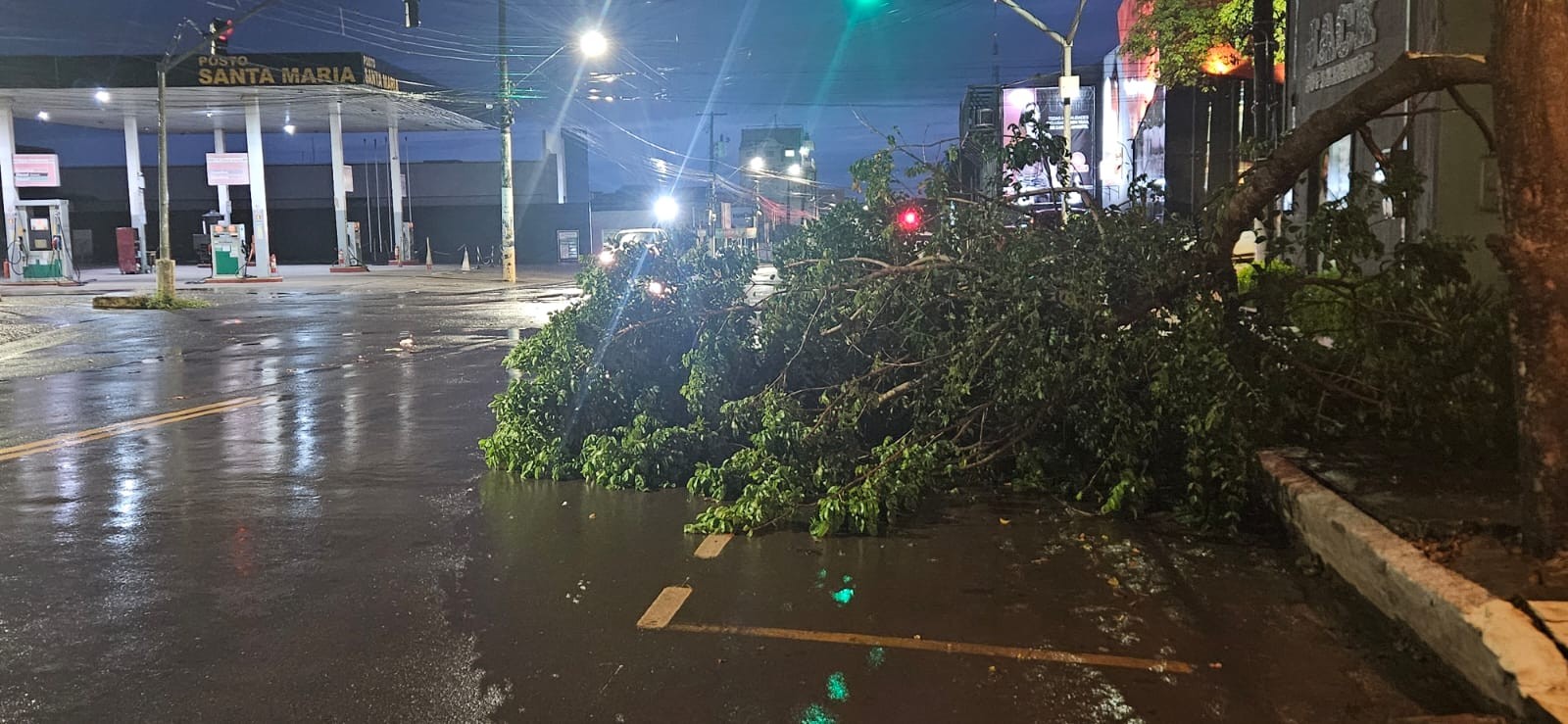 Chuva provoca queda de árvore e causa transtorno em Santarém