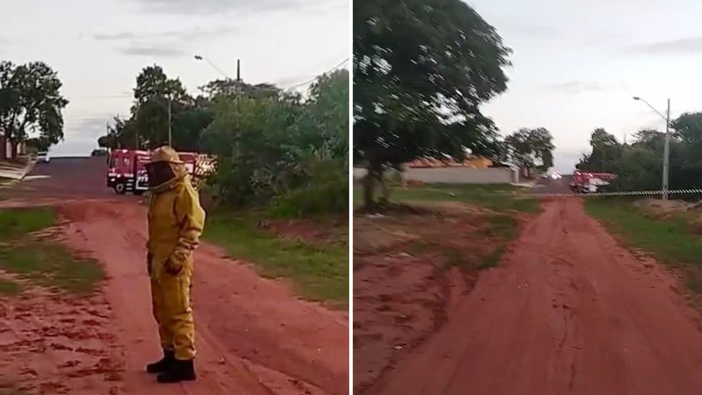 Bombeiros foram acionados para conter enxame de abelhas em Andradina (SP) — Foto: Arquivo pessoal