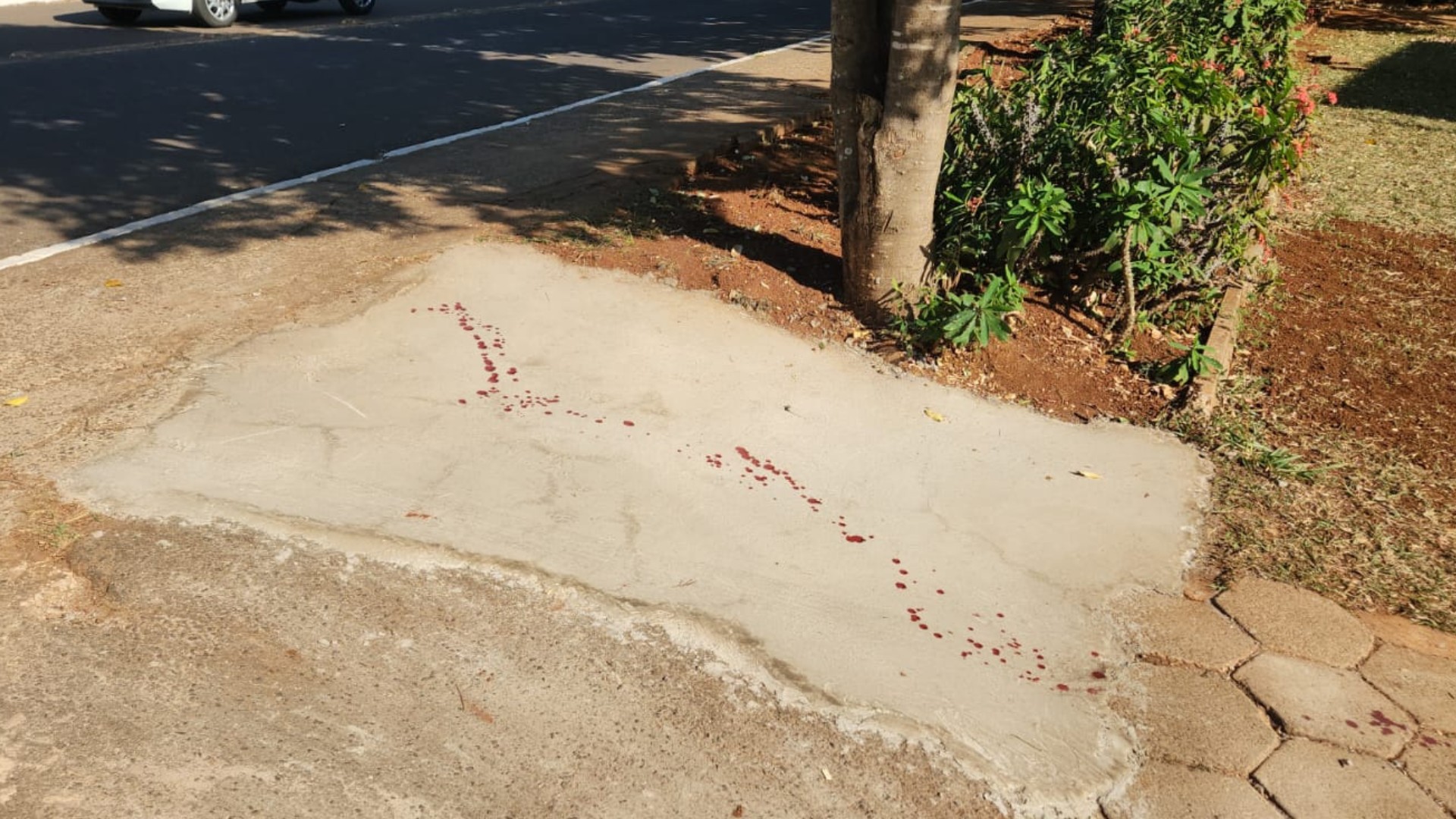 Jovem é morto e outro fica ferido em emboscada com 14 tiros em Campo Grande