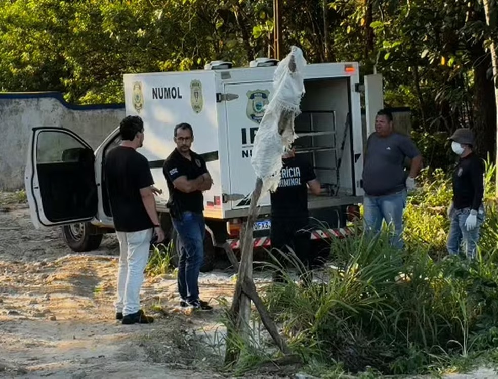 perito
