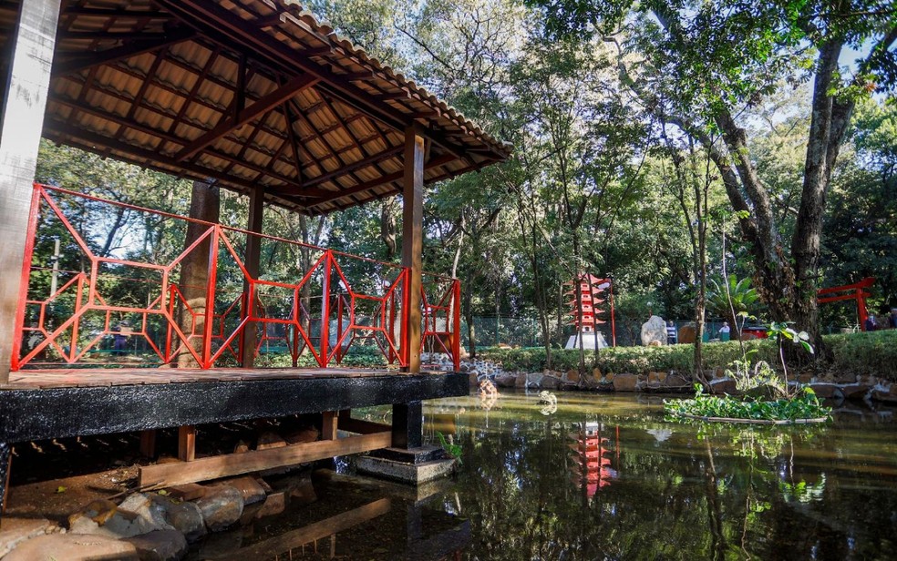Tradicional ponto turístico de Ribeirão Preto, Jardim Japonês é reaberto  após dois anos | Ribeirão Preto e Franca | G1