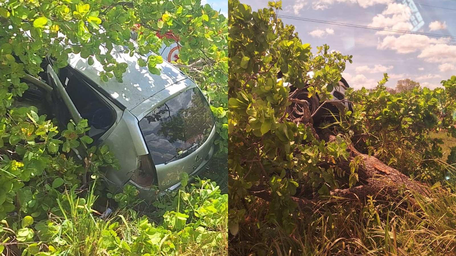 Motorista passa mal, perde controle e carro fica pendurado em árvore no PI; mulher e três crianças feridas