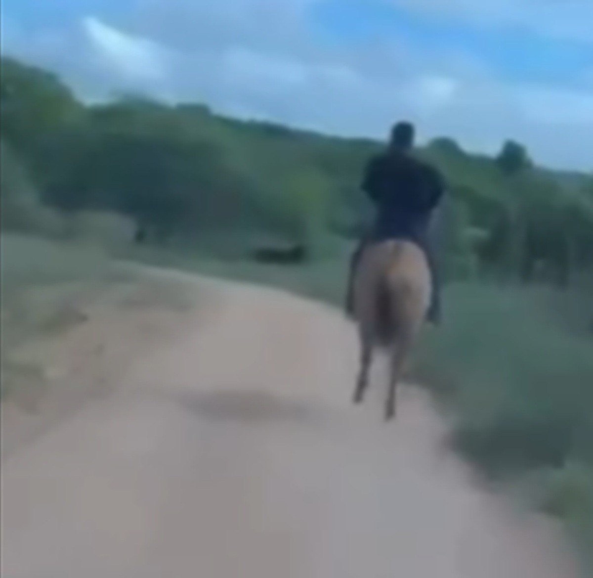 VÍDEO: delegado usa cavalo para prender suspeito de estuprar criança no Sertão de Alagoas