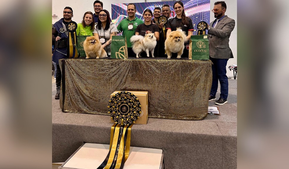 Lord foi o pet que ganhou, junto a Bruna, o primeiro lugar do campeonato nacional — Foto: Arquivo pessoal