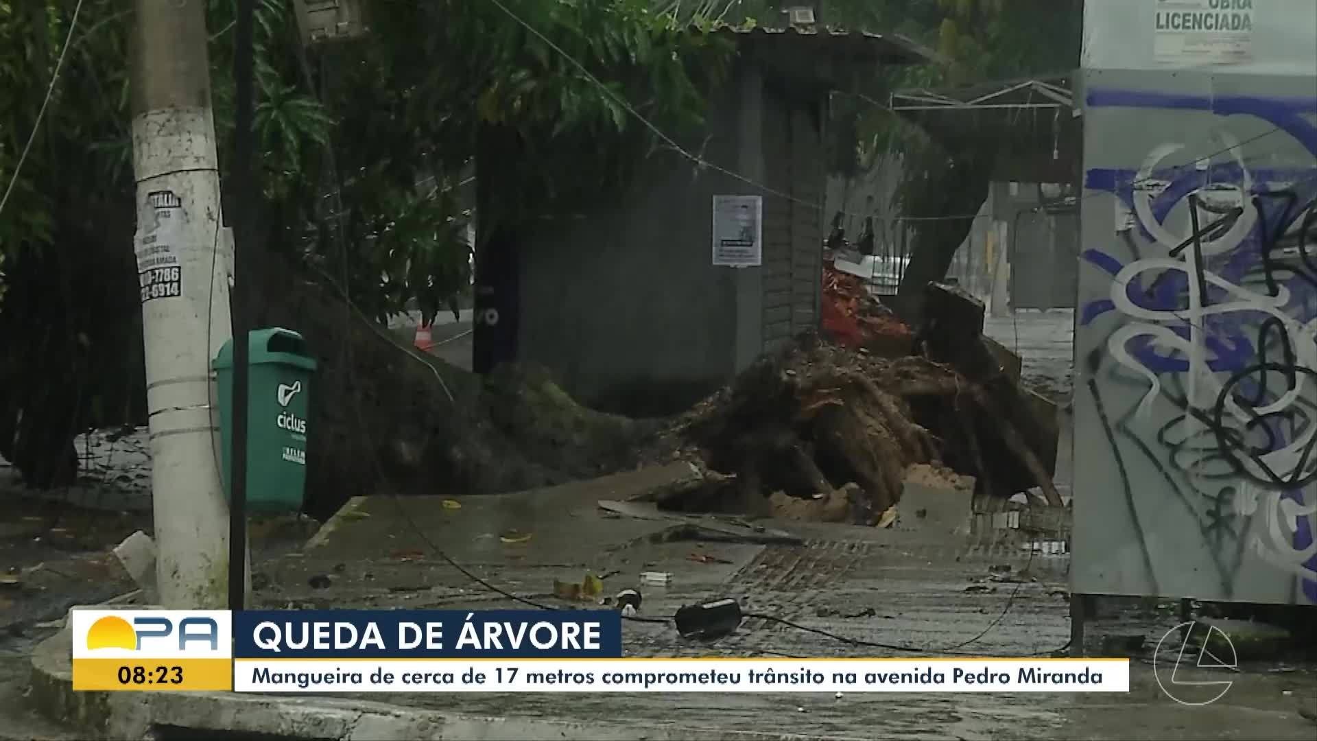 VÍDEOS: BDP de segunda-feira, 20 de abril