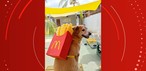 Buck Jones com mochila de batata frita — Foto: Karina Barros/Divulgação