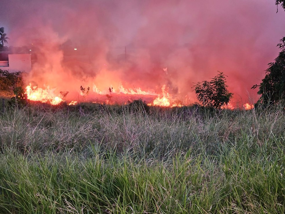 Incêndio de grandes proporções atinge área de vegetação de 12 mil m², em Dracena (SP) — Foto: Jorge Zanoni