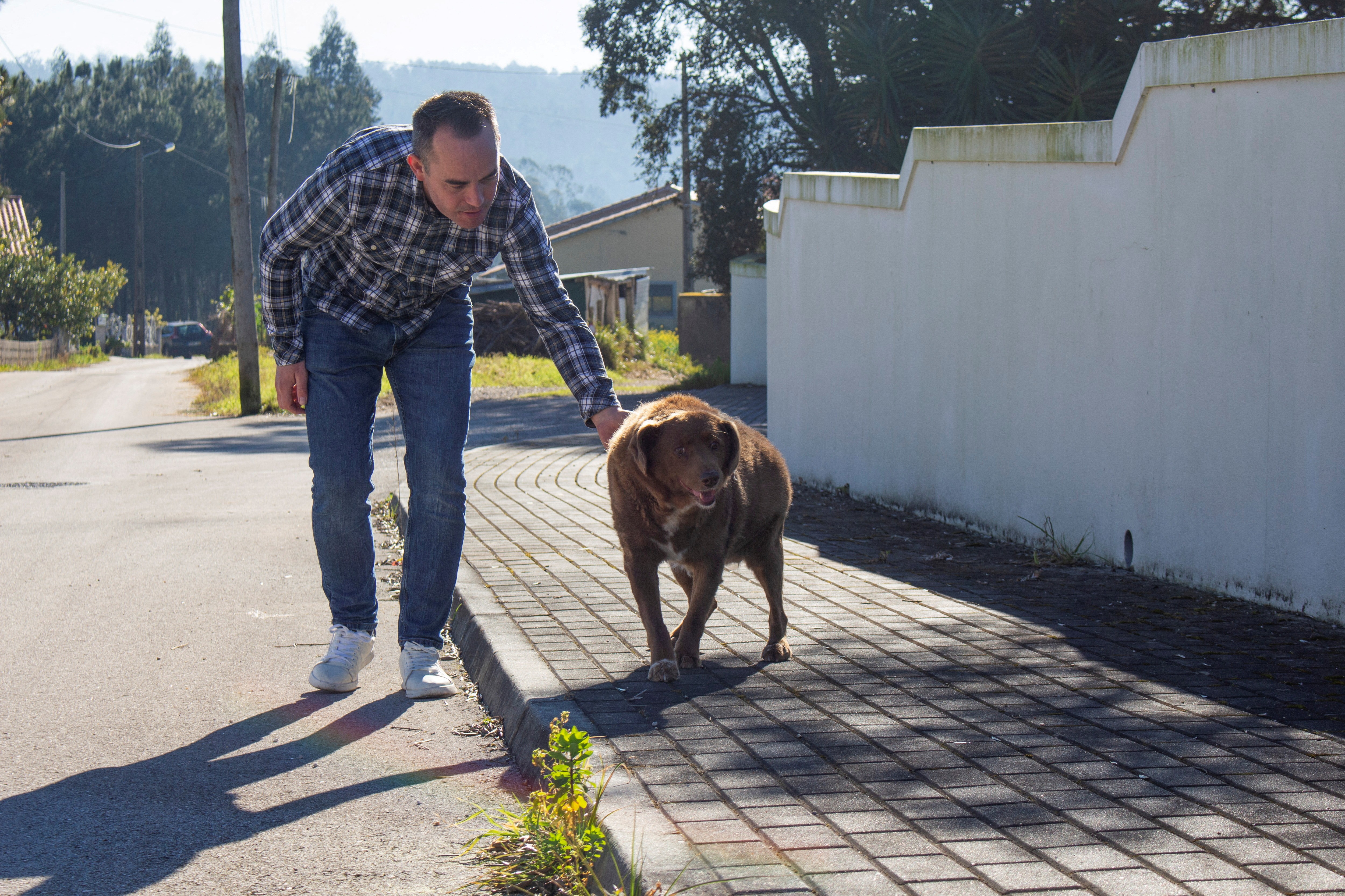 Guinness retira título de ‘cão mais velho do mundo’ para Bobi, que morreu ano passado supostamente aos 31 anos