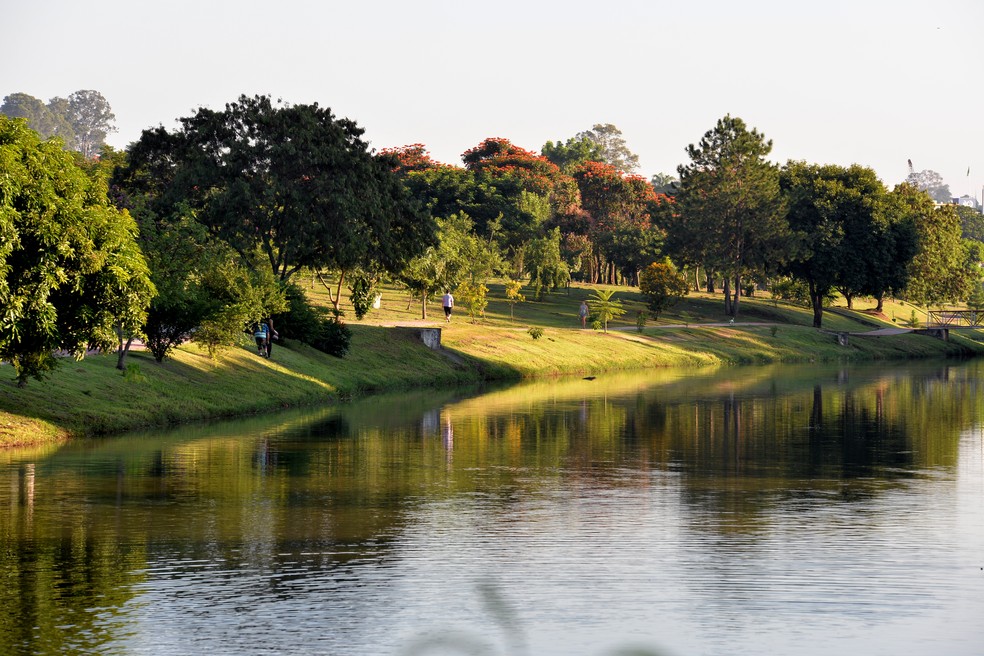 Imagem de arquivo do Parque Ecológico de Indaiatuba — Foto: Eliandro Figueira/RIC-PMI