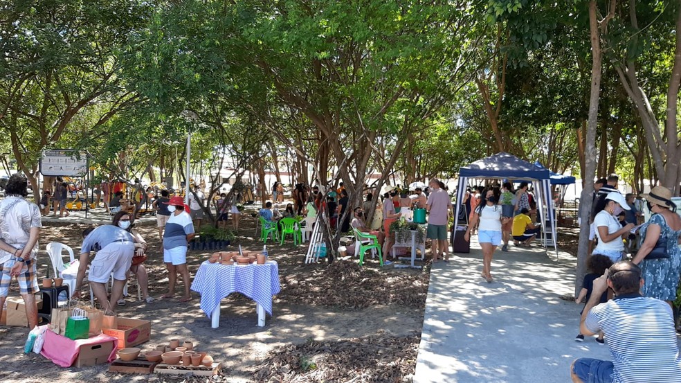 Feirinha Verde': evento reúne pequenos empreendedores e produtos  sustentáveis em Teresina | Piauí | G1