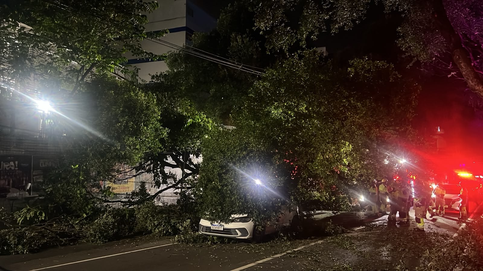 Árvore cai sobre carros na Avenida Getúlio Vargas e interdita parte da via em Manaus; VÍDEO