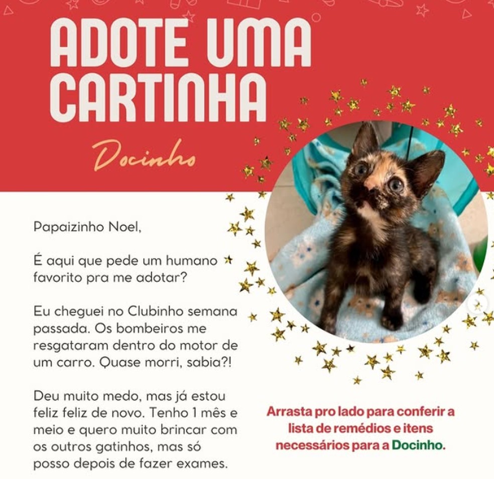 Adote uma cartinha — Foto: Clubinho da Penélope