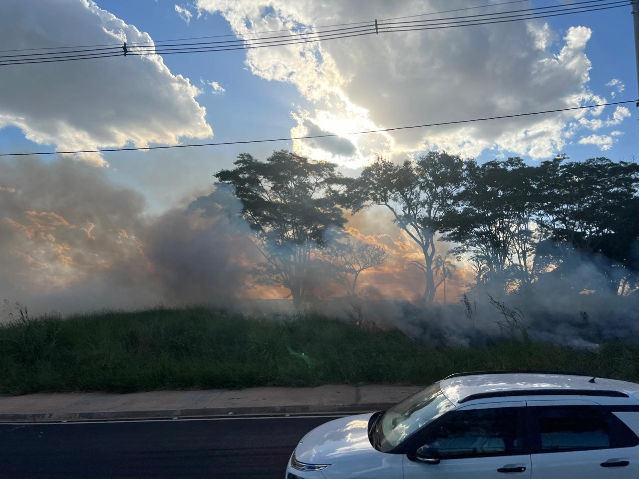 Bombeiros tentam controlar incêndio em área conhecida como IPA, em Rio Preto