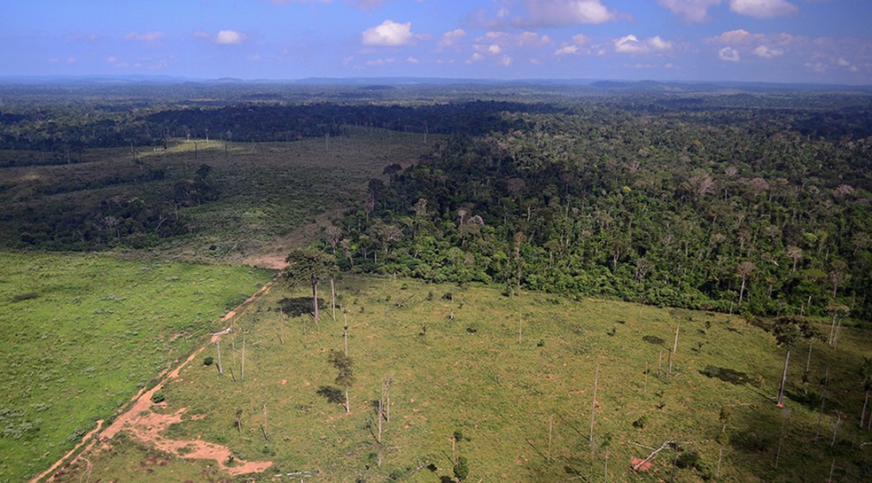 Professores enfrentam dificuldades em cruzar dados para acompanhar monitoramento de terras em MT — Foto: Foto: Vinicius Mendonça/IBAMA