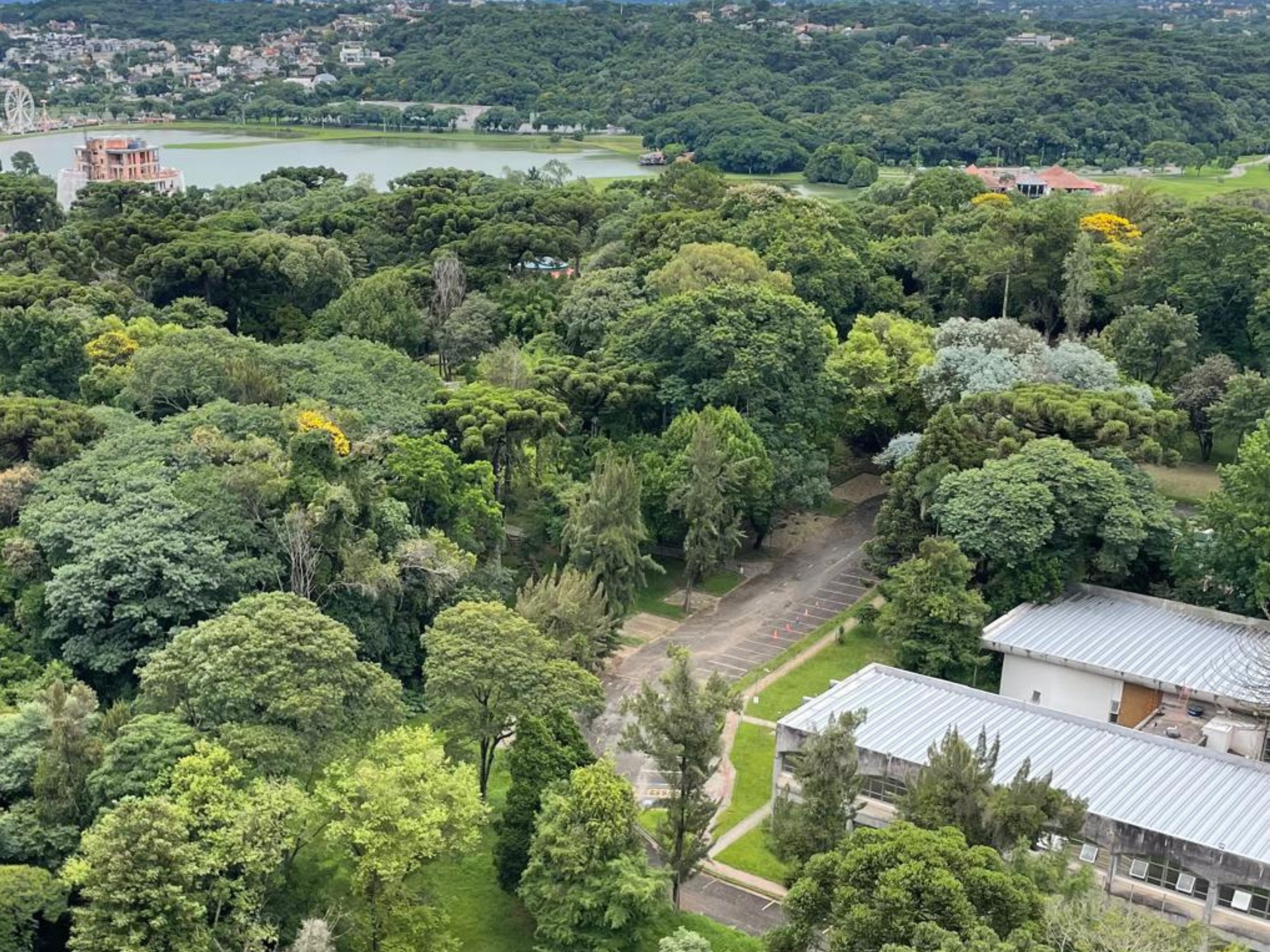 Bosque da Copel: parte de área verde famosa em Curitiba é vendida e gera preocupação de moradores sobre preservação