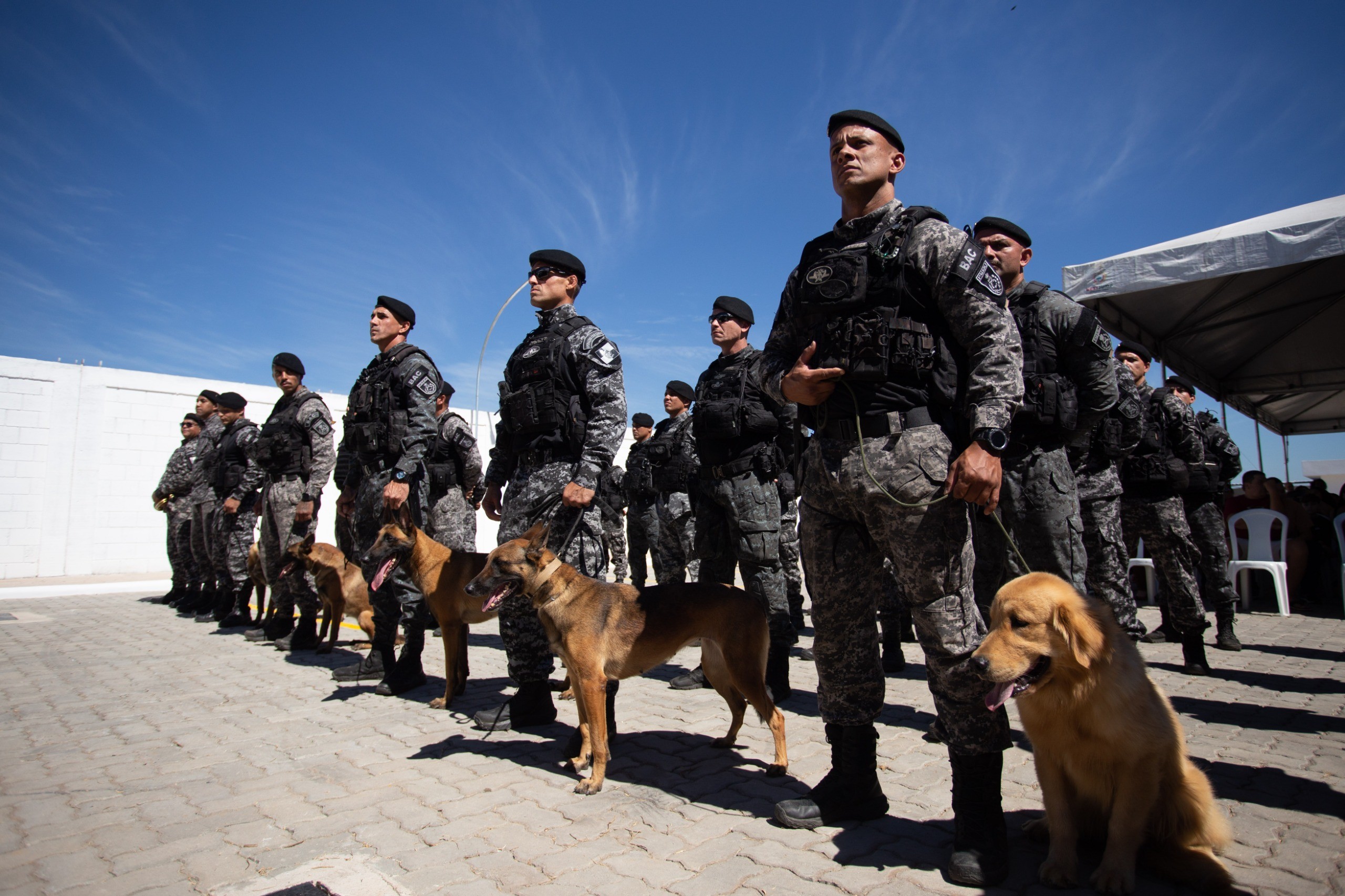 Batalhão de Ações com Cães reforça segurança de 20 cidades do Sul do Rio e Costa Verde