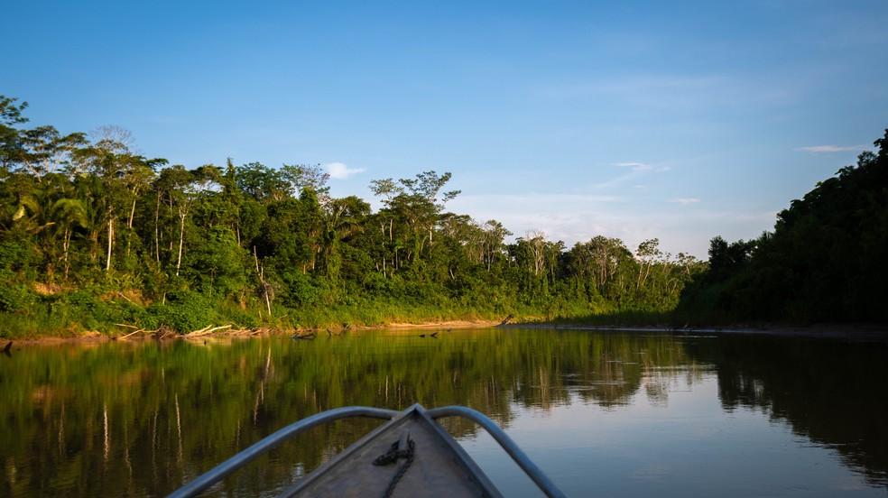 O Projeto Rio Muru protege mais de 40 mil hectares de floresta — Foto: Projeto Rio Muru
