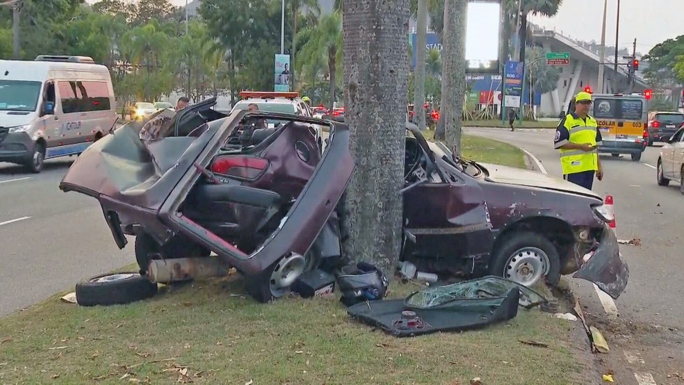 Carro bate em palmeira na Rua Mrio Ribeiro — Foto: Reproduo/TV Globo