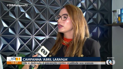 Abril Laranja é dedicado à prevenção contra os maus-tratos aos animais