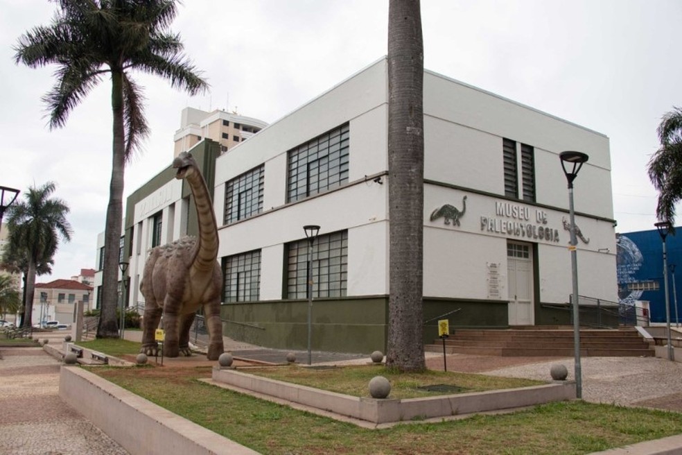 Jurassic Park brasileiro': Museu de Paleontologia reabre as portas no  interior de SP após quatro anos