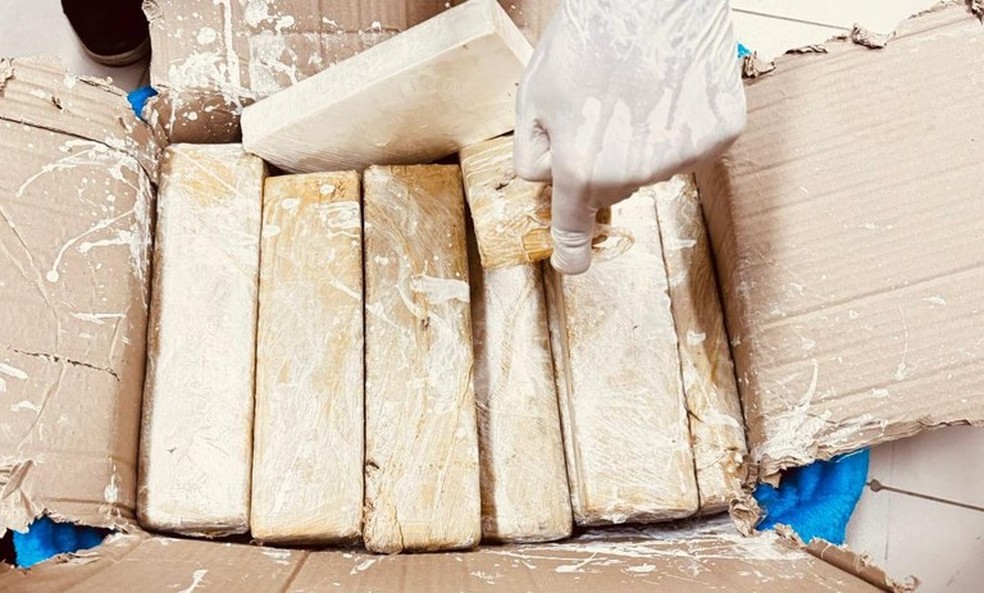 Droga encontrada pela Polícia Federal com passageira, no aeroporto de São Luís — Foto: Divulgação/Polícia Federal