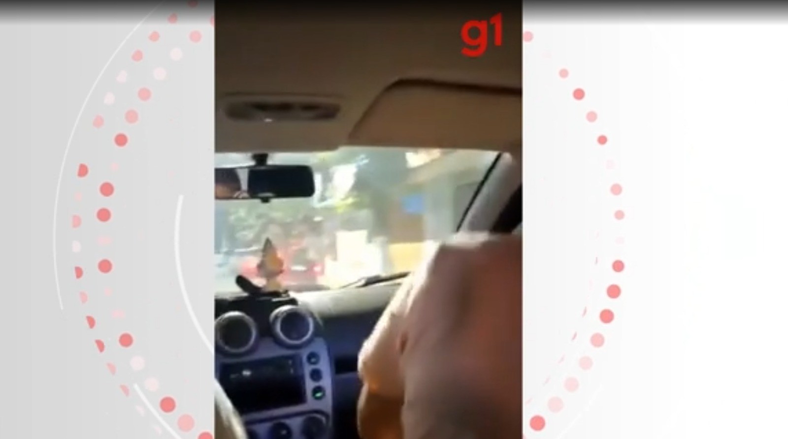 Vídeo mostra momento em que jovens jogam bomba de artifício em Parada LGBT+ em MG